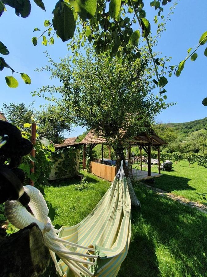 Valchid Guest House Екстер'єр фото