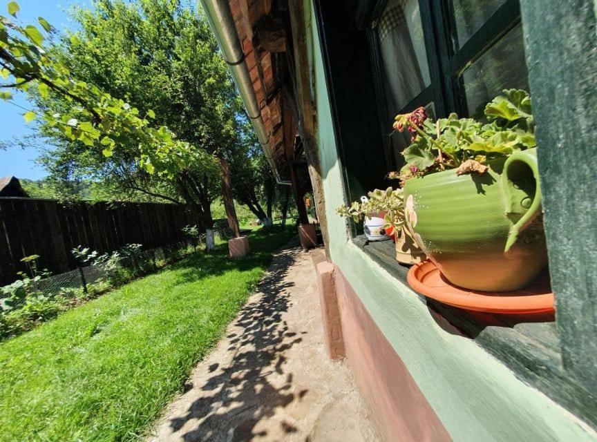 Valchid Guest House Екстер'єр фото